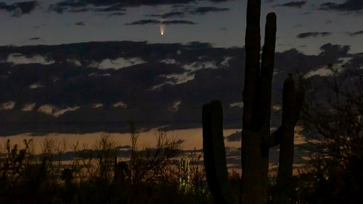 Rare Comet NEOWISE Is Gracing the Skies in July Before It Disappears for 6,800 Years