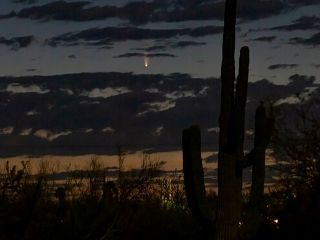 Rare Comet NEOWISE Is Gracing the Skies in July Before It Disappears for 6,800 Years