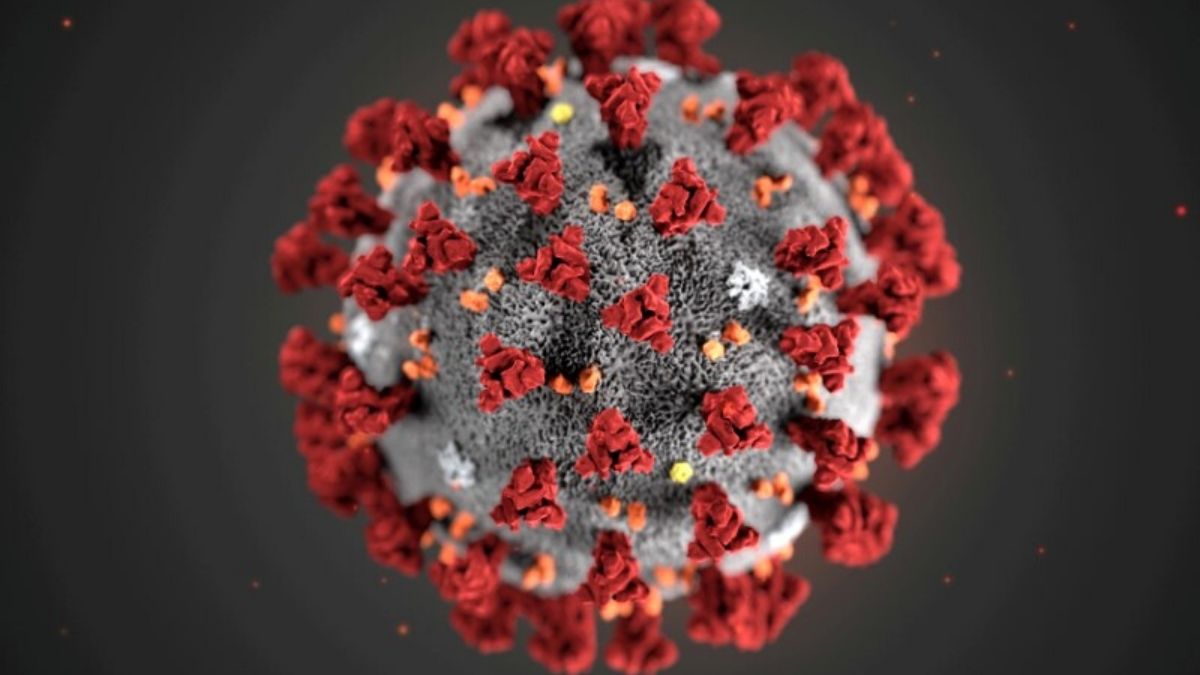 IIT Innovations Take Commercial Route to Aid COVID-19 Fight