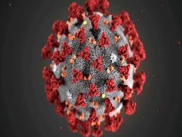 COVID-19 Antibody Discovered That Can Neutralise All Known SARS-CoV-2 Strains, Claim Researchers COVID-19 Antibody Discovered That Can Neutralise All Known SARS-CoV-2 Strains, Claim Researchers