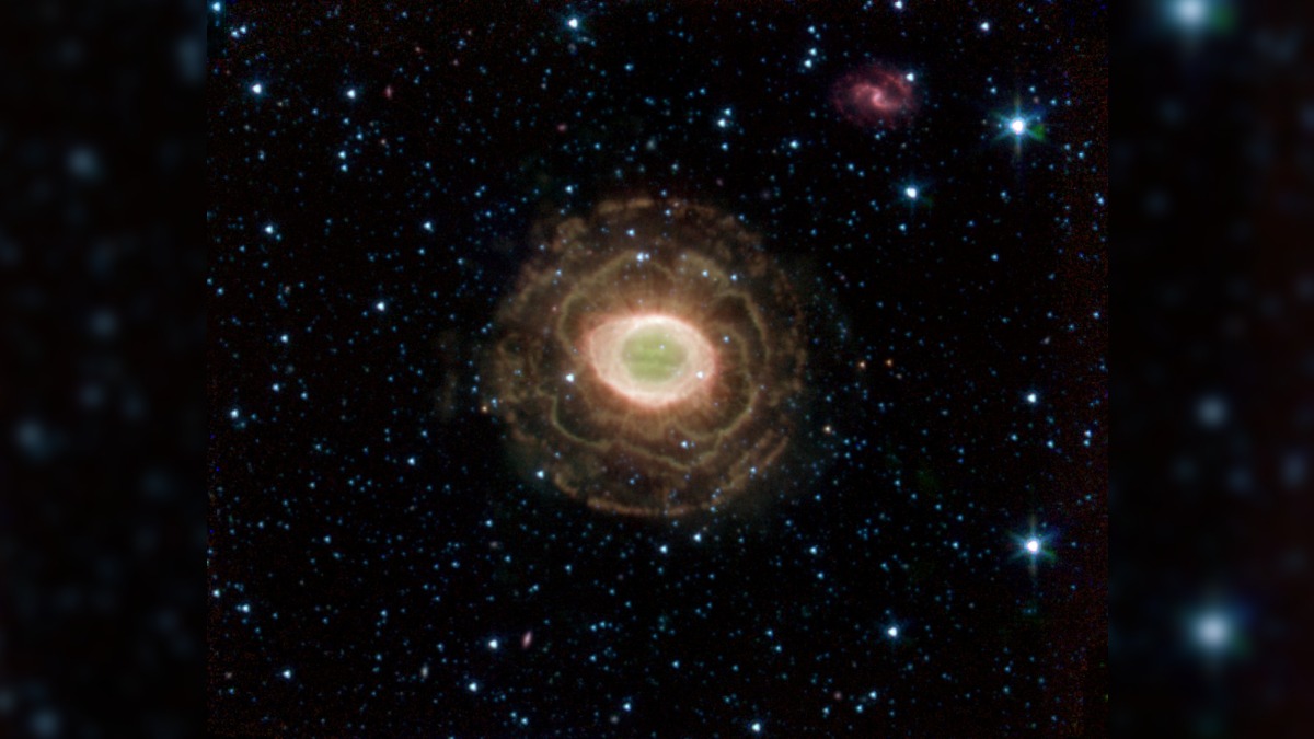 Cosmic Flower in Bloom: NASA Shares Image of Ring Nebula