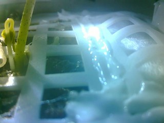 China Lunar Lander&#039;s Moon Cotton Experiment Ends in Freezing Night