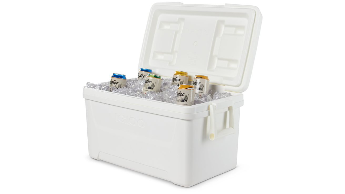 Top Portable Plastic Ice Box Containers To Keep Food And Drinks Cold for Hours