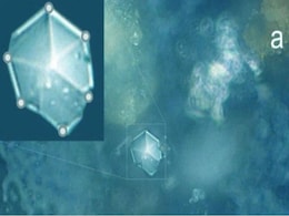 Exotic Crystals With Unique Structure Found in Dust From Chelyabinsk Meteor Explosion Exotic Crystals With Unique Structure Found in Dust From Chelyabinsk Meteor Explosion
