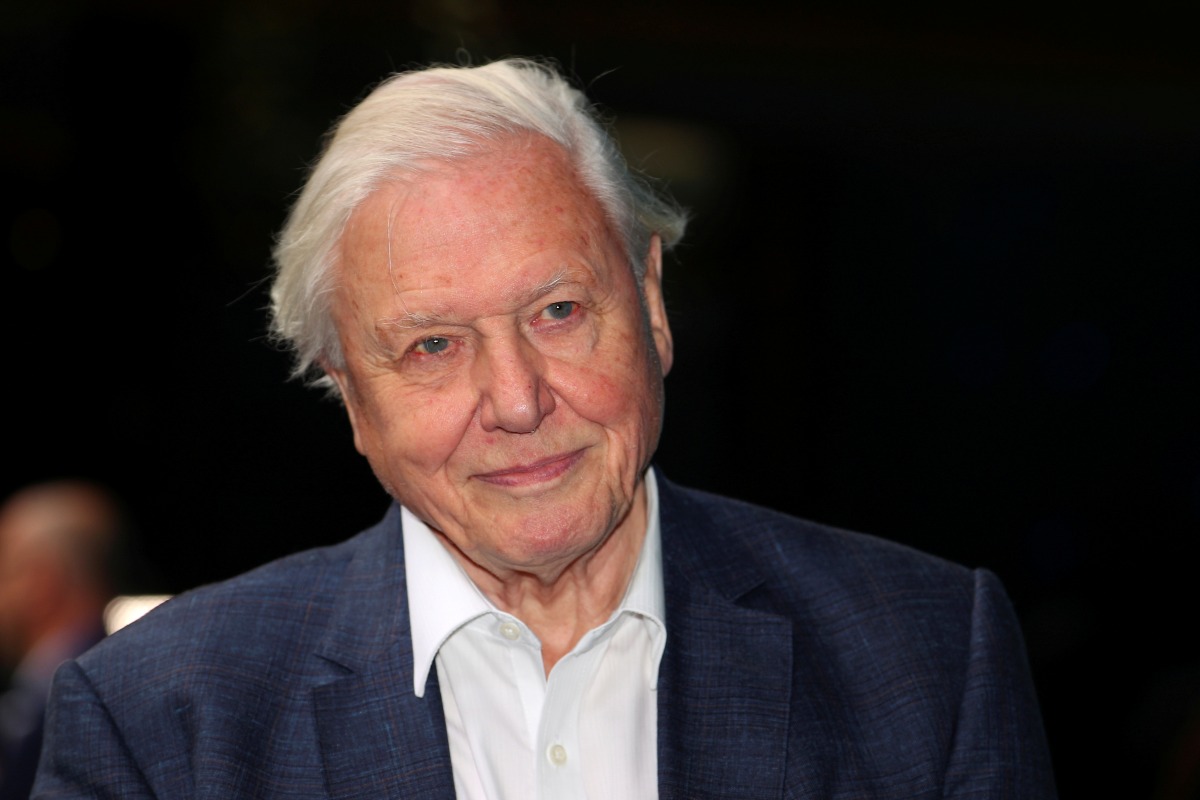 David Attenborough Sets Record for Fastest to 1 Million Instagram Followers, Hits Milestone in Under 5 Hours