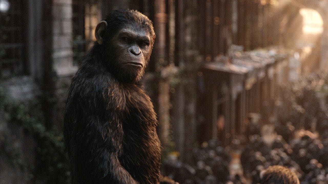 dawn of the planet of the apes Dawn of the Planet of the Apes