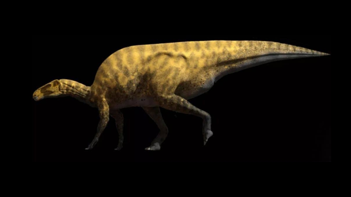 New Dinosaur Identified From Fossil Discovered in Spain Over Two Decades Ago
