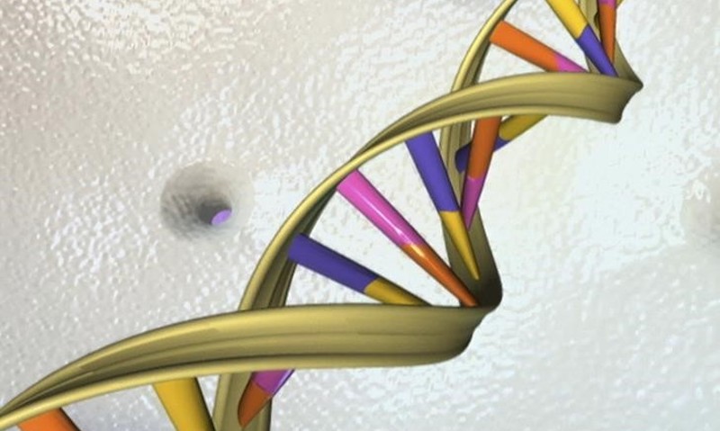 US NAS Says Use Gene-Editing Tools for Disease, Not Designer Babies