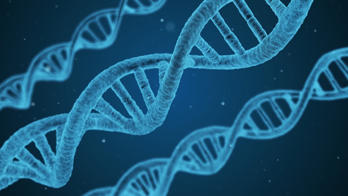 Evolution Might be Happening 4 Times Faster Than What Charles Darwin Had Predicted: Study