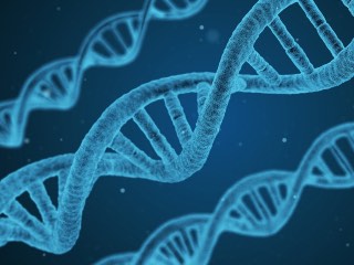 Evolution Might be Happening 4 Times Faster Than What Charles Darwin Had Predicted: Study