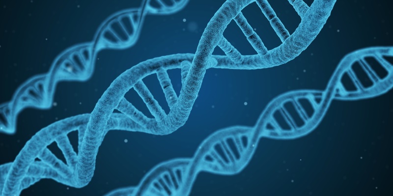 DNA May Just Become the Next Storage Medium, Heralds New Breakthrough