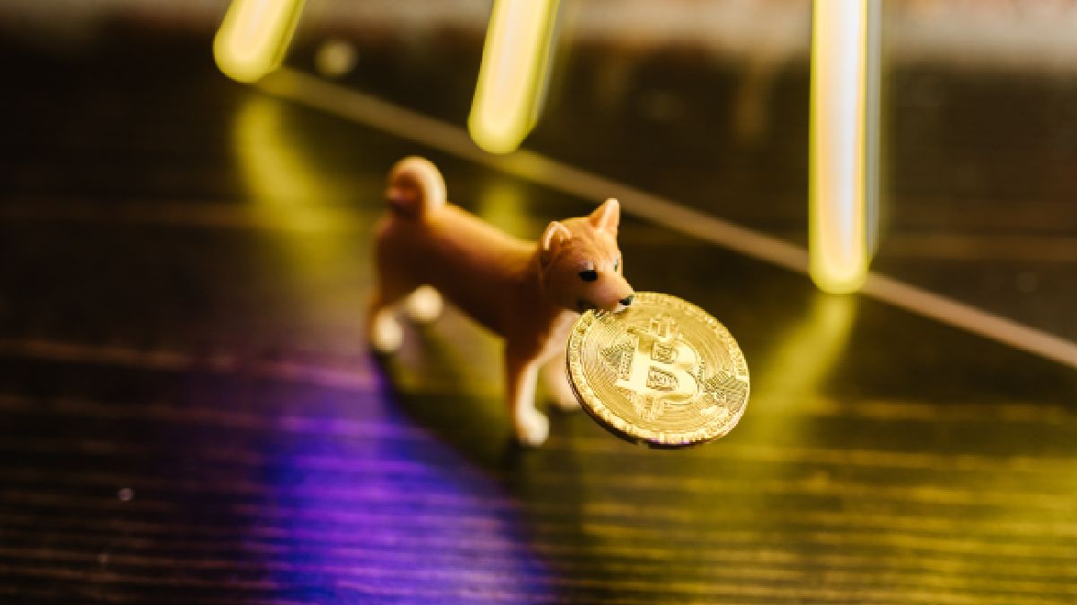 Shiba Inu की मेगा ट्रांजैक्शन, Ethereum व्हेल ने 110 अरब SHIB टोकन खरीदे