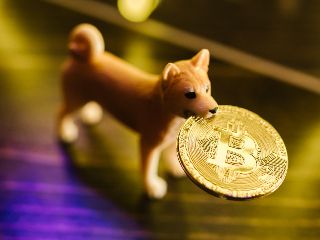 Shiba Inu Defeats Bitcoin, Ether to Rank as Most Popular Crypto of 2021 on CoinMarketCap Index