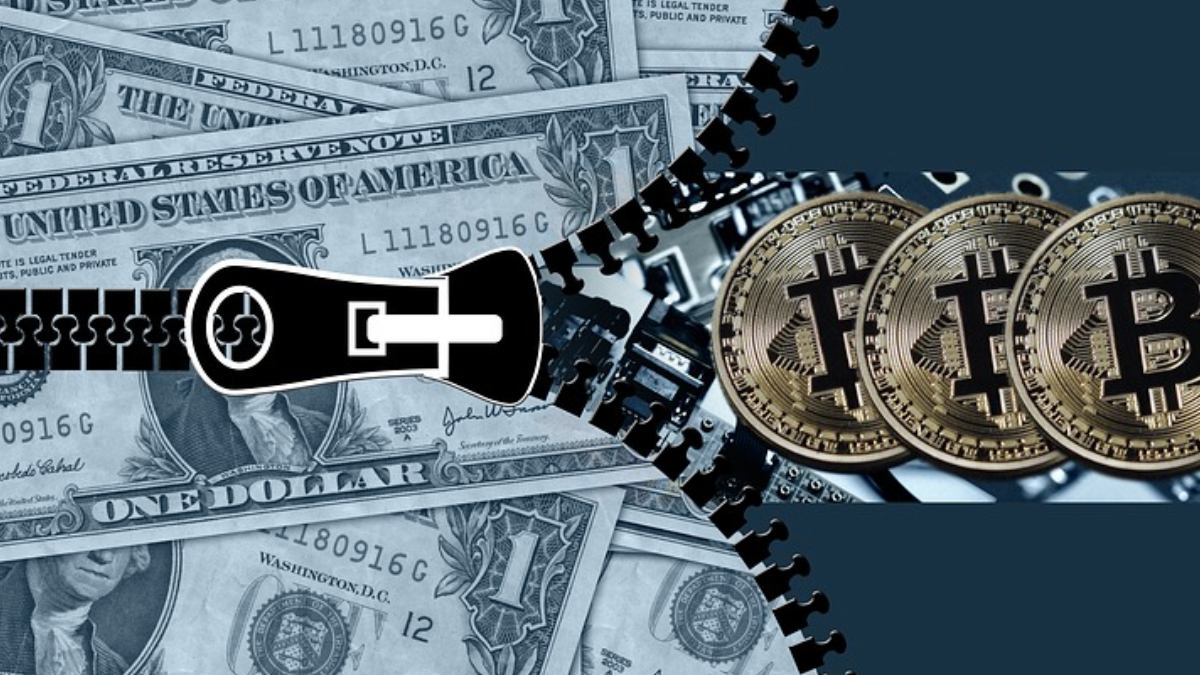 New York State Senator Proposes to Criminalise Crypto Frauds, Rug Pull Scams