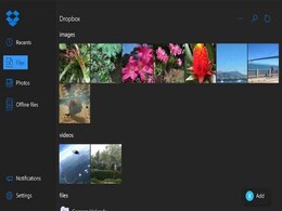Xbox One Gets Dropbox App While Xbox One Games Arrive on Oculus Rift Xbox One Gets Dropbox App While Xbox One Games Arrive on Oculus Rift