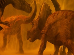 New Duck-Billed Dinosaur Species Discovered in Mexico, Here's What You Need to Know New Duck-Billed Dinosaur Species Discovered in Mexico, Here's What You Need to Know
