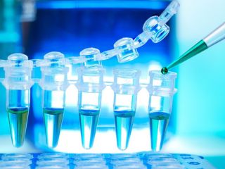 India Reports First Case of Highly-Transmissible Mpox Clade 1b Variant in Kerala