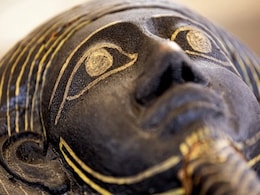 Treasure Chest of Ancient Mummies, Bronze Statuettes Discovered in Egyptian Necropolis Treasure Chest of Ancient Mummies, Bronze Statuettes Discovered in Egyptian Necropolis