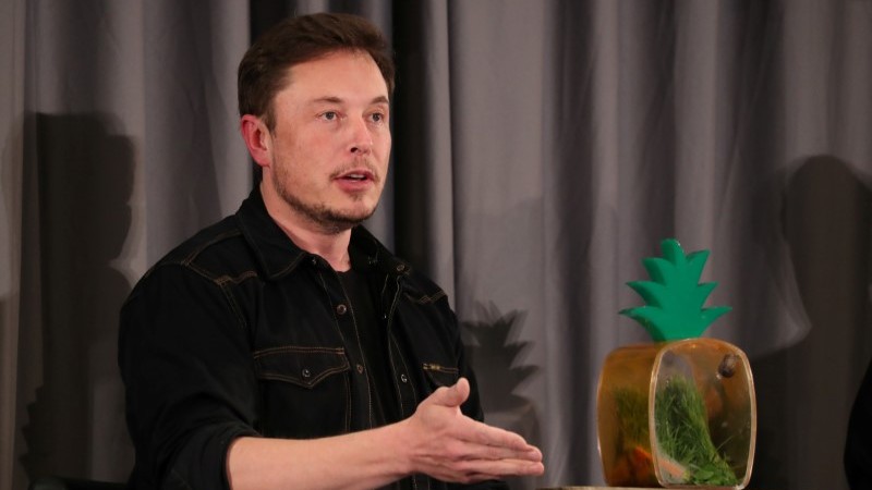Musk's Return as Tesla Chairman Must Be Voted for by Shareholders