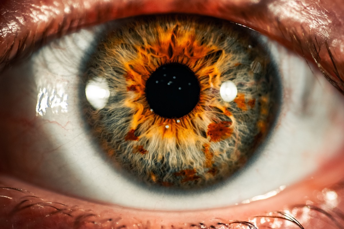 Eyes Offer Biomarkers for ADHD and ASD Disorders, Study Reveals