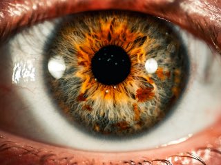 Eyes Offer Biomarkers for ADHD and ASD Disorders, Study Reveals