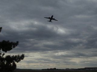 5G Interference Issues Could Linger for Years, US Airline Group Warns