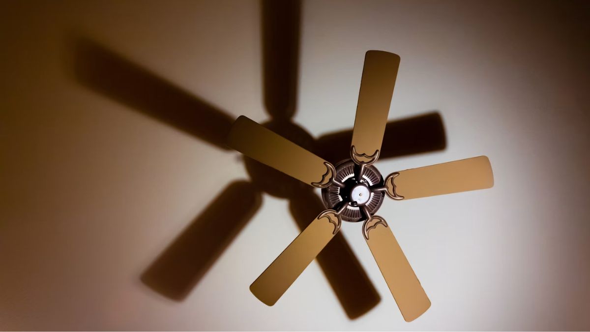 The Quietest Fans of 2026: How to Beat the Heat Without the Noise?