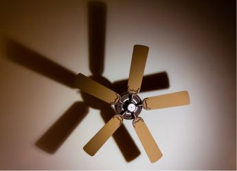 The Quietest Fans of 2026: How to Beat the Heat Without the Noise?
