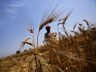 Aadhaar Data of Farmers Exposed by Government&#039;s PM Kisan Website, Security Researcher Reports
