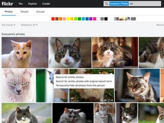 Flickr&#039;s New &#039;Similarity Search&#039; Feature Lets You Find Similar Images Using Deep Neural Networks