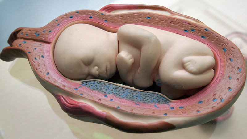 Gene-Edited Twins in China Still Face Risk of HIV Infection