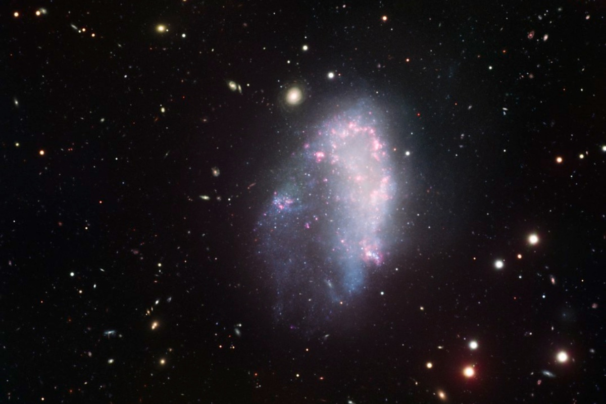 Dwarf Galaxies of Earth&rsquo;s Second Closest Galaxy Cluster Devoid of Dark Matter Halos