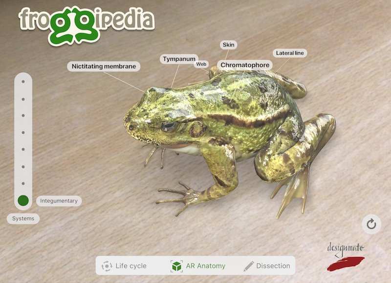 froggipedia froggiepedia