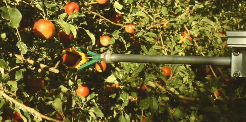 Robotic Fruit Pickers May Help US Orchards With Worker Shortage