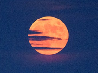 ISRO&#039;s Chandrayaan-2 Finds Noble Gas on Moon, Beyond the Region Where It Was Supposed to Be