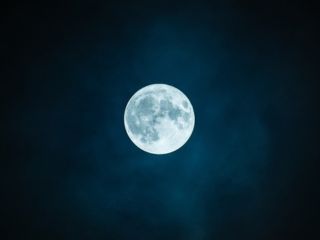 Full Moon in November 2024: Beaver Moon is the Last Supermoon of the Year