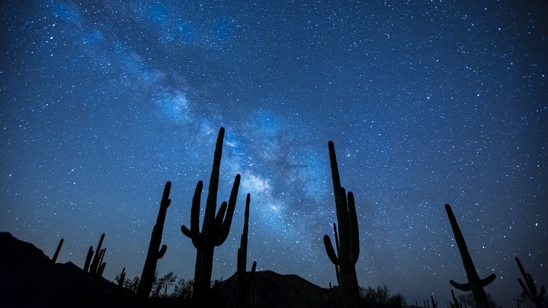 Cosmic Crash With Dwarf Galaxy Reshaped Milky Way: Study