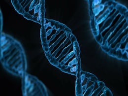 New Research Suggests Gene Therapy Could Be Used To Treat Pitt-Hopkins Syndrome New Research Suggests Gene Therapy Could Be Used To Treat Pitt-Hopkins Syndrome