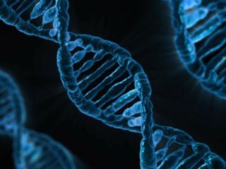 New Research Suggests Gene Therapy Could Be Used To Treat Pitt-Hopkins Syndrome