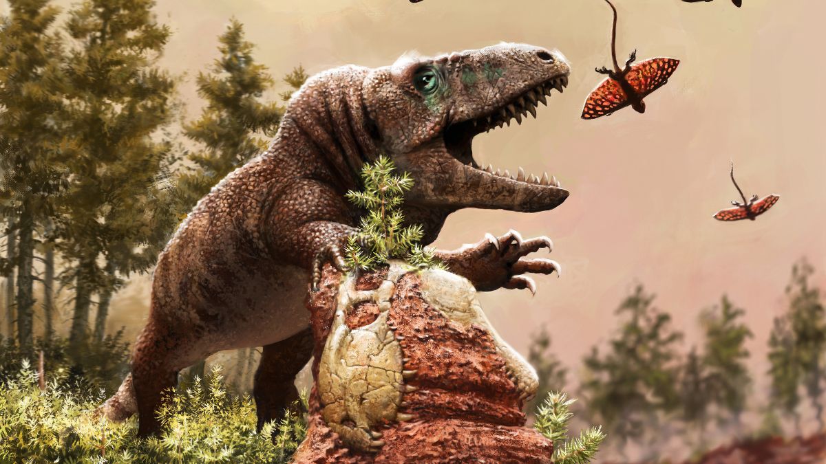 Global Warming Triggered Reptile Boom Millions of Years Ago: Says Study