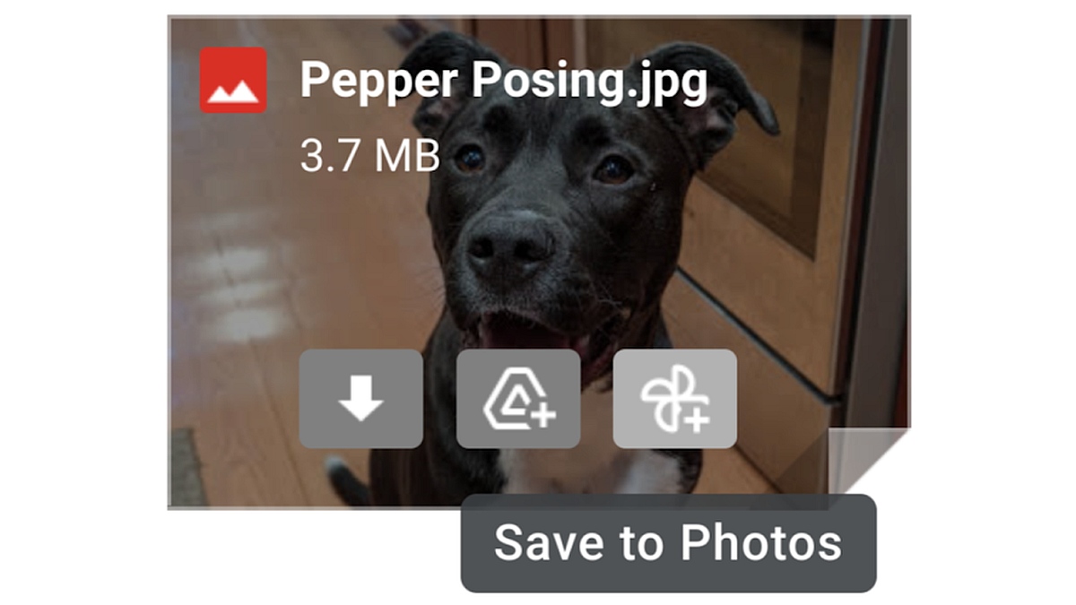 Google Adds a New Button to Directly Save Images From Gmail to Google Photos