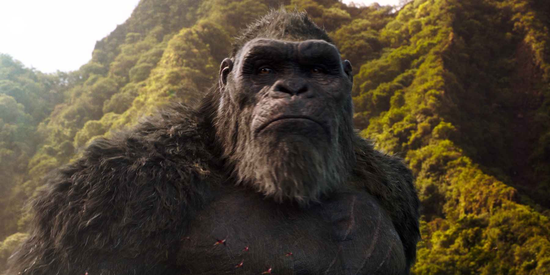 Godzilla vs. Kong India Release Date Brought Forward to March 24