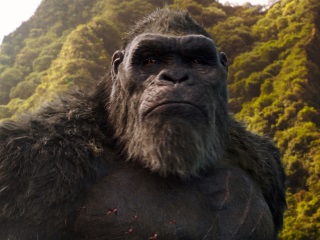 Godzilla vs. Kong India Release Date Brought Forward to March 24