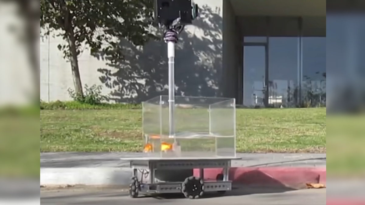 Fish Out of Water: Scientists Teach Goldfish How to Drive Robotic Car to Study Navigational Abilities