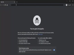 Google Chrome 83 Debuts With Redesign Privacy and Security Settings, Updated Incognito Mode Google Chrome 83 Debuts With Redesign Privacy and Security Settings, Updated Incognito Mode