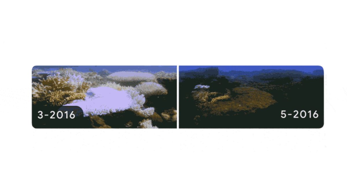 Climate Change Image Highlighted in Google Doodle for Earth Day 2022