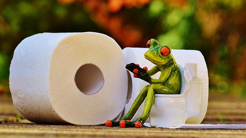 Google Maps Now Helps Find Public Toilets in Delhi-NCR, Madhya Pradesh