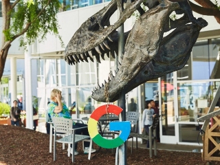 Google Payments to Ireland Outfit Not Royalty, Not Subject to Withholding Tax, ITAT Says