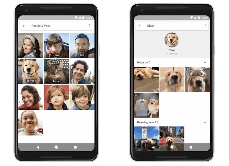 Google Photos Now Recognises Your Pets