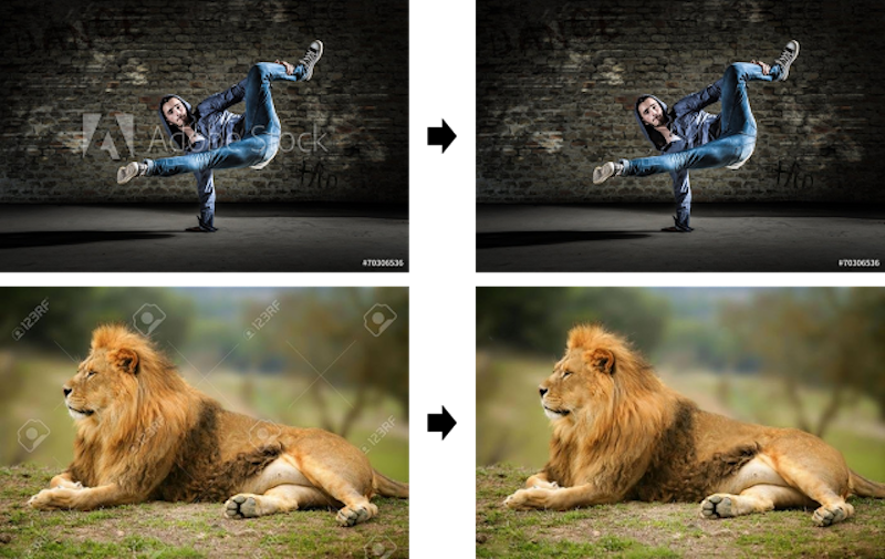 Google's New Algorithm Can Remove Watermarks From Photos, Suggests Replacement